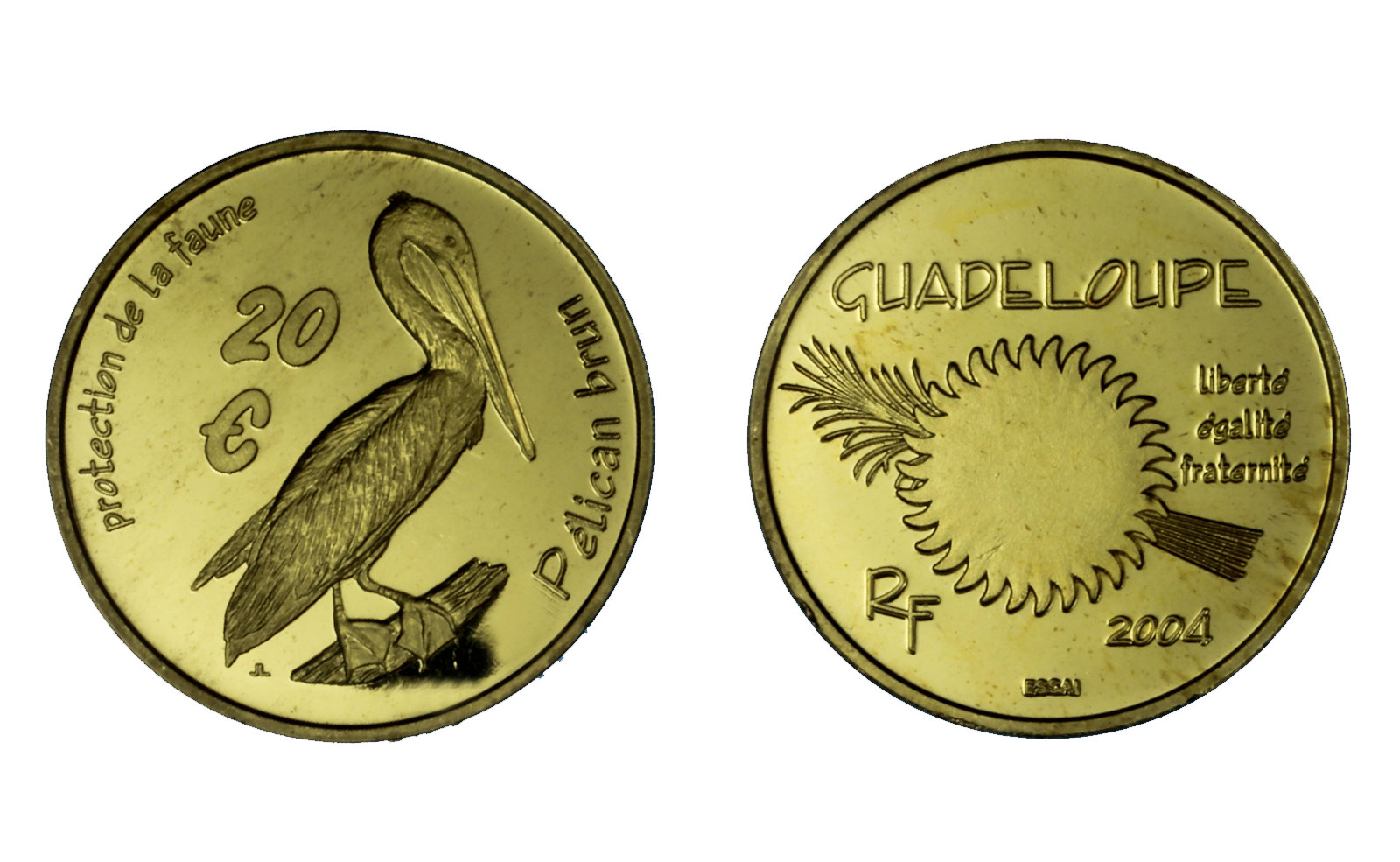 "Protezione della fauna: Pellicano" - 20 euro gr.8,50 in oro - coniazione privata