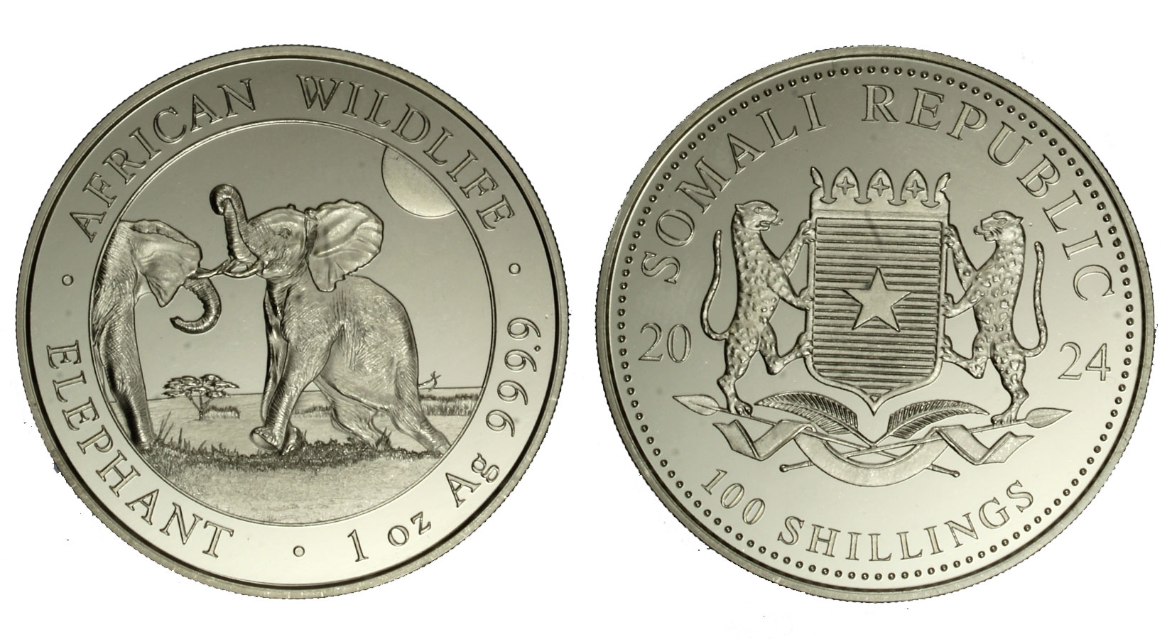"Elefante" - moneta da 100 Scellini gr. 31,10 in ag.999/000