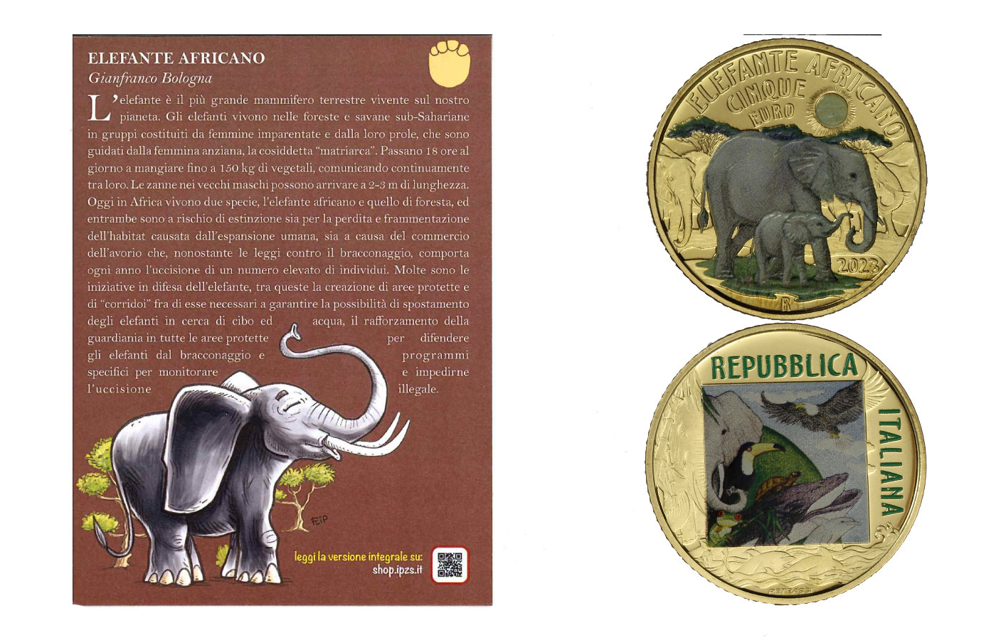 "Serie mondo sostenibile: l'elefante africano"- Moneta da 5 euro in capsula con certificato allegato  
